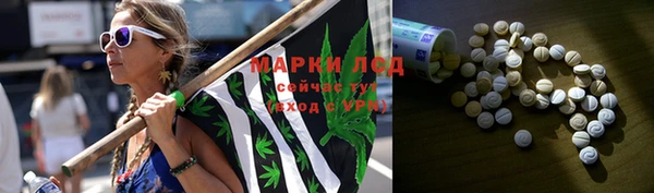 спайс Богданович