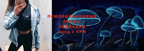 спайс Богданович