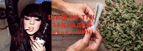 соль ск Богородицк