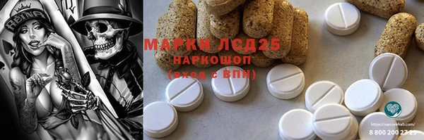 спайс Богданович