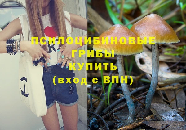 соль ск Богородицк