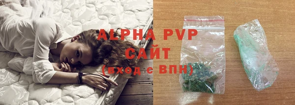 спайс Богданович