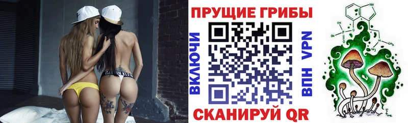 Псилоцибиновые грибы MAGIC MUSHROOMS  Мичуринск 